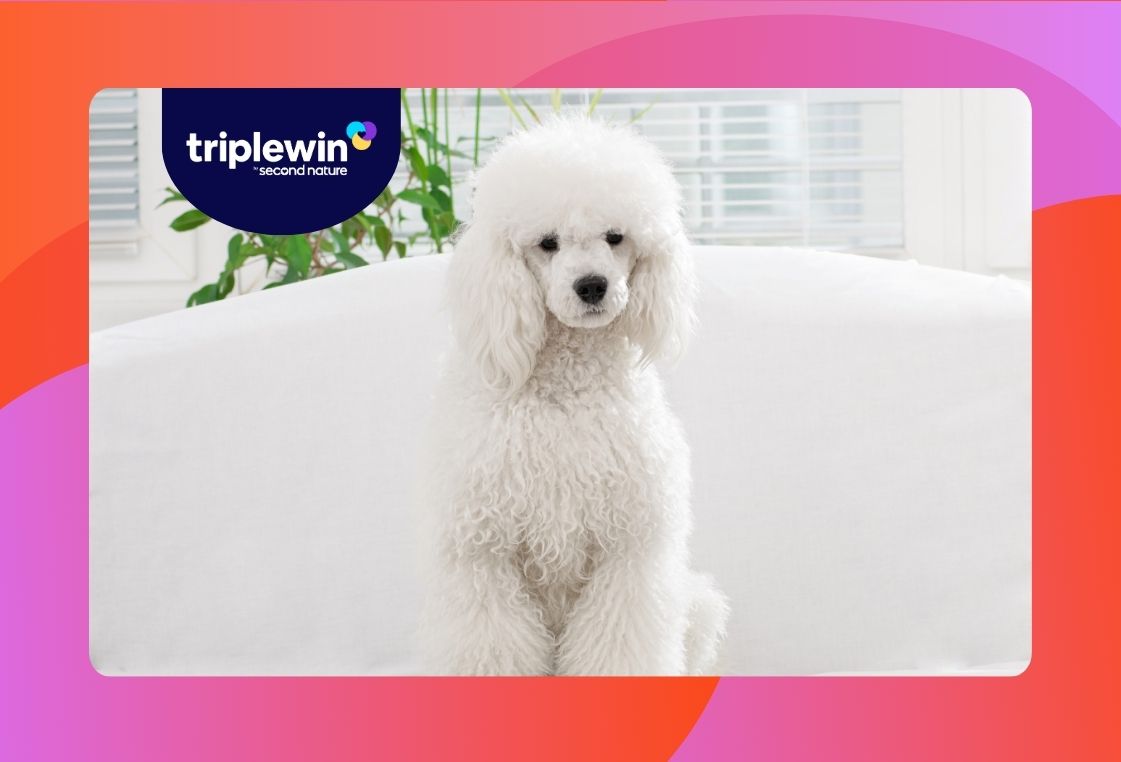 The Best Pets for Allergy Sufferers Second Nature